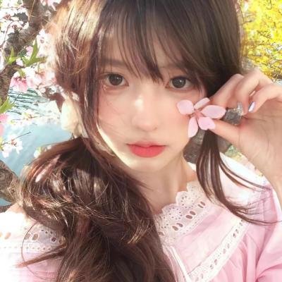 蔷薇少女 序曲